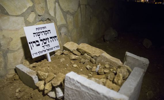 רק בת 3 חודשים: קברה של הטרי של חיה ברון הי"ד