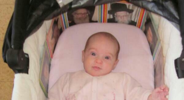 פנייה לשר כץ: "שלול רשיון נהיגה ממחבלים"