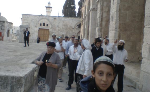 צפו: צרחות ונאצות על העולים להר הבית