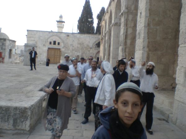 צפו: צרחות ונאצות על העולים להר הבית