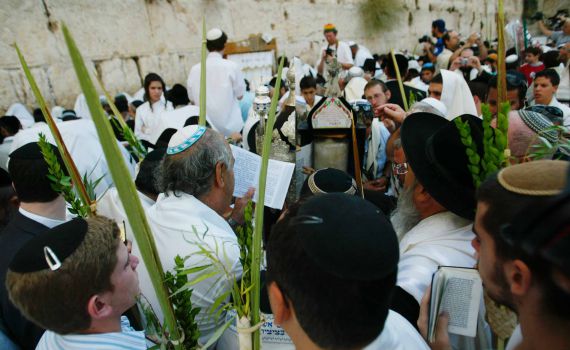 אחדות ארבעת המינים, אחדות עם ישראל