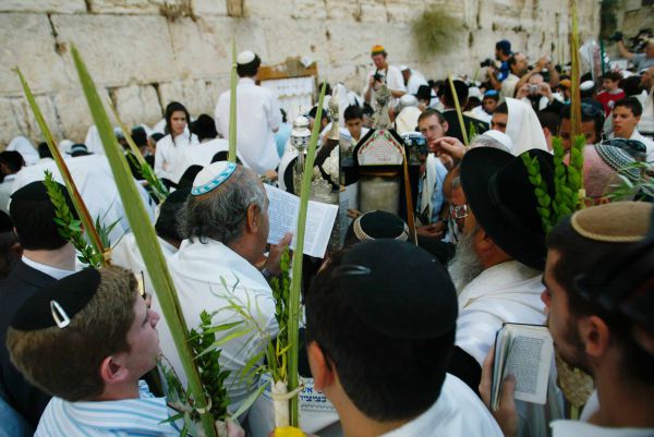 אחדות ארבעת המינים, אחדות עם ישראל