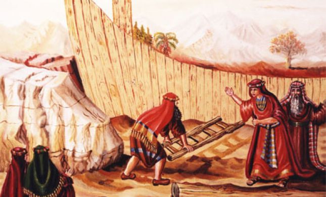  ציורי תנ"ך פרשת נח: עד כמה נח היה צדיק?