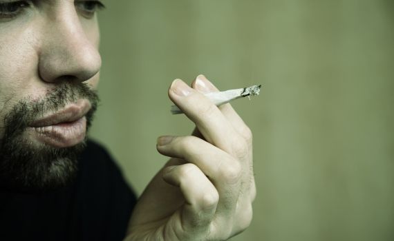 מה הדרכים המותרות לגדל קנאביס בשנת שמיטה?