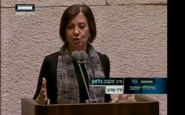 צפו בזהבה גלאון טועה בספירה