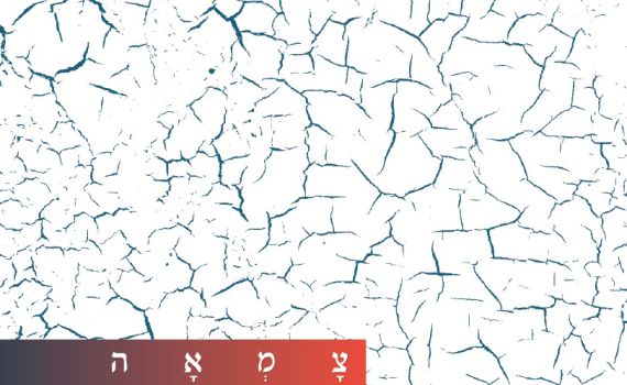 האזינו: 'כי אנו עמך' – ארז לב ארי שר הרבי מלובביץ'