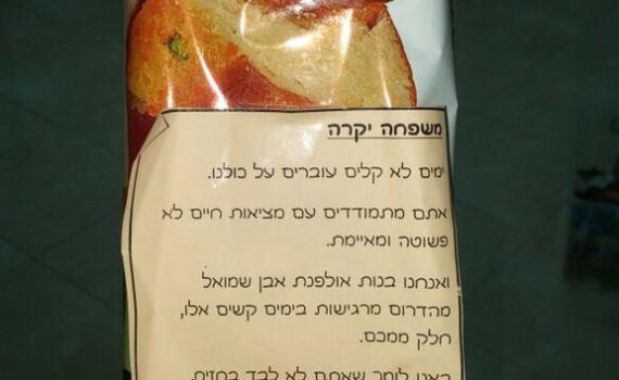 בנות האולפנא הגיעו לחזק את תושבי הר נוף