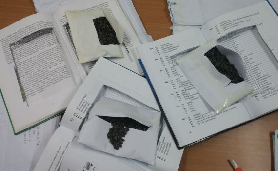 נסיון הברחה: זרעי חמניות הוחבאו בספרים