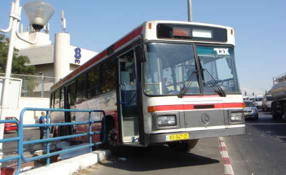 "משרד התחבורה רצח את הבנים שלי"