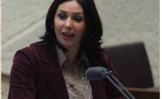 רגב: "המשנה ליועמ"ש הדליפה לנחום ברנע"