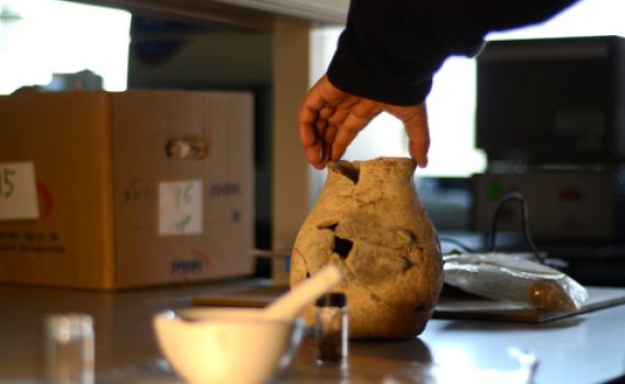 שמן זית בן כ-8,000 שנה נחשף בגליל התחתון