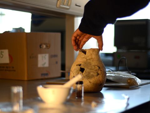 שמן זית בן כ-8,000 שנה נחשף בגליל התחתון