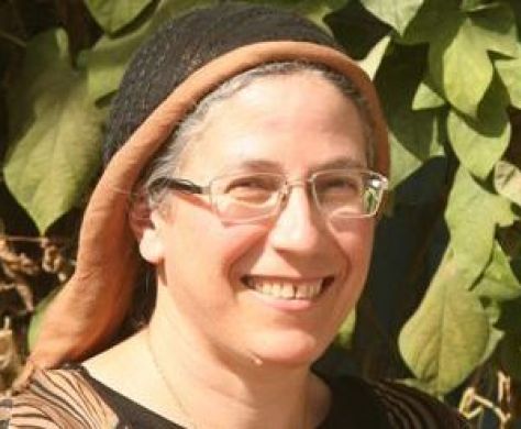 למה לא מטפלים בסוגיית הזיופים בבחירות?