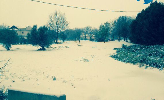 הסערה החלה: שלג, הפסקות חשמל וחסימת כבישים