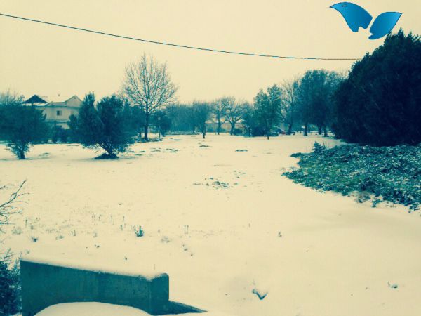 הסערה החלה: שלג, הפסקות חשמל וחסימת כבישים