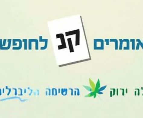 המפלגות שמתעקשות להתמודד גם הפעם