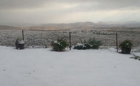 שלג כבד בצפת ובגוש עציון. בירושלים שלג קל בלבד