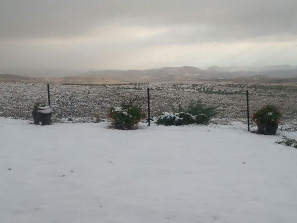 שלג כבד בצפת ובגוש עציון. בירושלים שלג קל בלבד