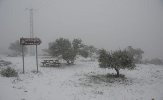 הלימודים בירושלים יחלו בשעה 10:00