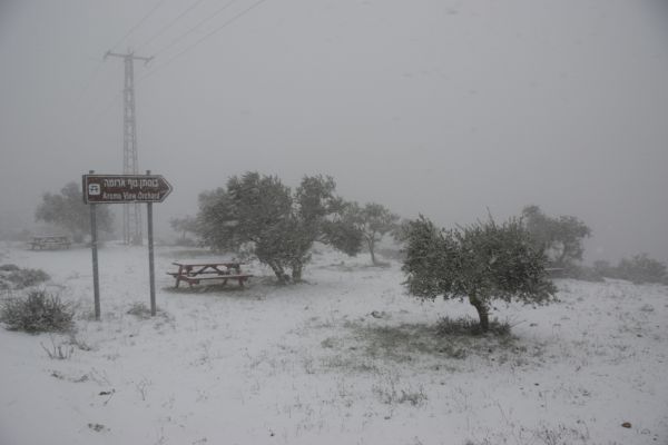 הלימודים בירושלים יחלו בשעה 10:00
