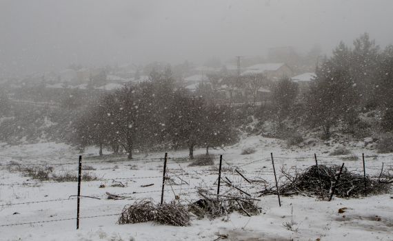 רק לקנא: בצפון יורד שלג כבד שמכסה הכל בלבן