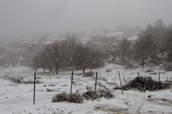 רק לקנא: בצפון יורד שלג כבד שמכסה הכל בלבן