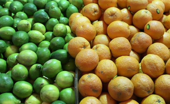 חשש ערלה בפירות חורף: הרשימה המלאה