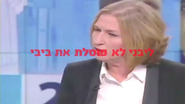 מלחמה בשמאל: מרצ בסרטון נגד בוז'י לבני