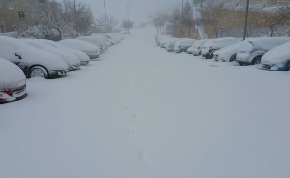 פתיתי שלג מהצפון עד הדרום