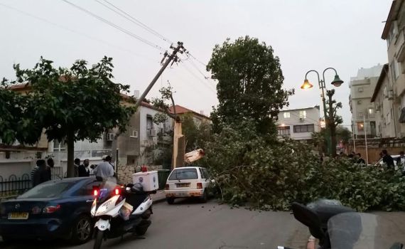 עץ קרס ופגע בילדה בת 7 בבני ברק