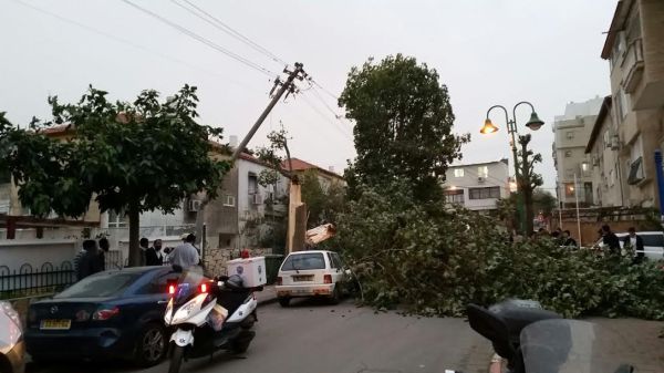 עץ קרס ופגע בילדה בת 7 בבני ברק