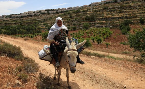 חשד: קניית הקרקעות מהערבים נעשתה במרמה