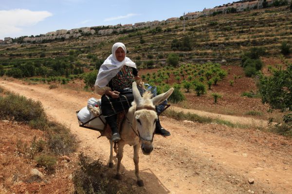 חשד: קניית הקרקעות מהערבים נעשתה במרמה