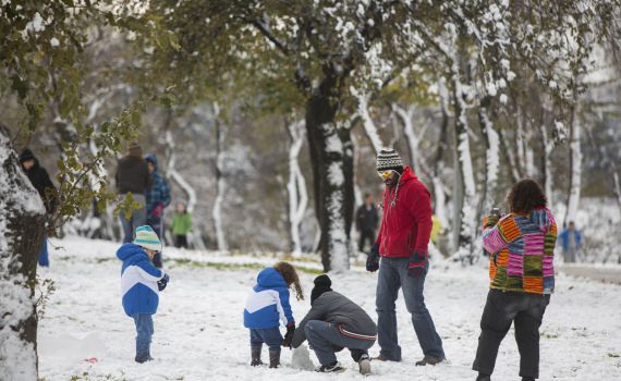 מתכוננים לסערה: תנועות הנוער דוחות את הנטיעות