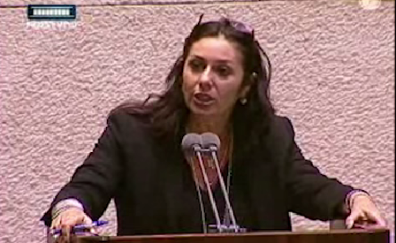 חברי הכנסת "מסבירים" למה להצביע לבית היהודי