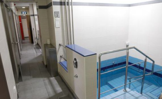 בלניות בשליחות אסתר / תגובה לרב דרור אריה