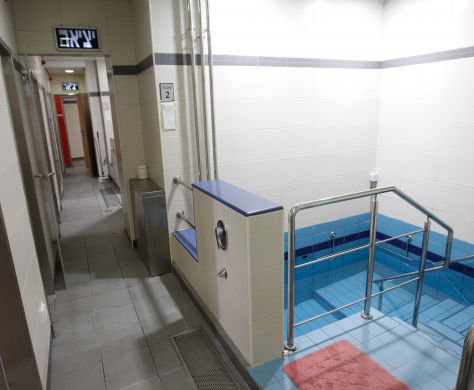 בלניות בשליחות אסתר / תגובה לרב דרור אריה