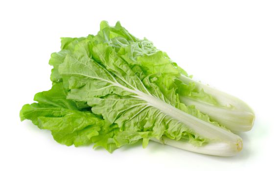 לקראת הפסח: עליה של 500% בצריכת החסה