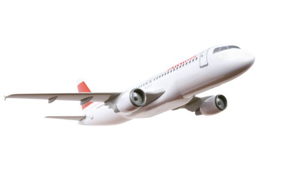 משרד החוץ מאשר: ישראלי בין הרוגי המטוס