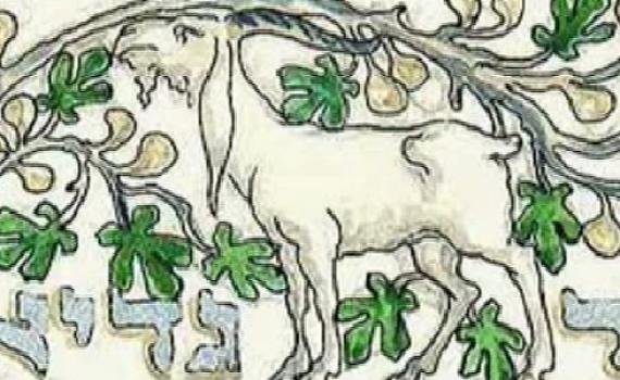 איך אומרים חד גדיא באיטלקית? האזינו