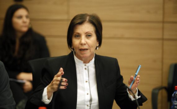 גלאון: "חודש מהבחירות והשמאל עדיין מתבכיין"