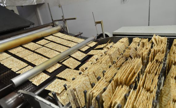 פסח תשע"ה: בעולם היהודי אוכלים יותר מצות