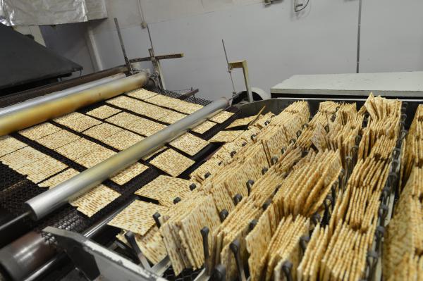 פסח תשע"ה: בעולם היהודי אוכלים יותר מצות