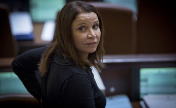 "גם הנהגה חד-ראשית של הרצוג מגוחכת"