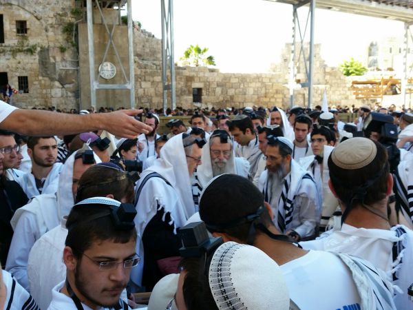 ישיבות ההסדר התאחדו לתפילה מרכזית בכותל