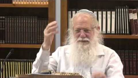 תורתו מגן לנו: אוסף שיעורים על רשב"י