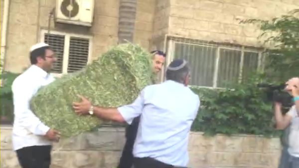 בן ארי ובן גביר הגישו חציר לעודד קוטלר