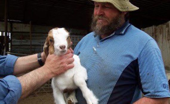 ההרוג בתאונת עבודה ליד יתיר: יעקב טליה ז"ל