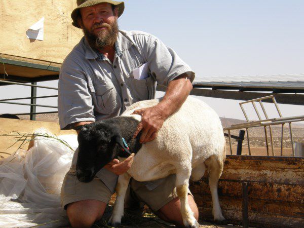 הספד ליעקב טליה ז"ל: נפל טרומפלדור המודרני