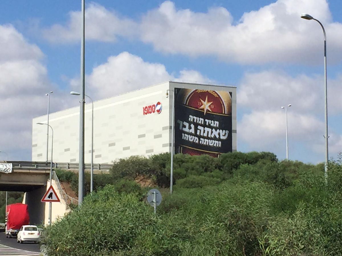 פגיעה בנשים: יו"ר נעמת אומרת לא לגולדסטאר